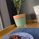 8 18 Coffee Bistrô drink