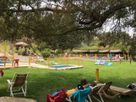 Toro Gordo, Olmue food