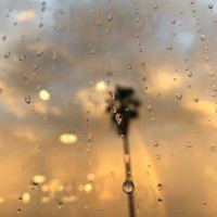 Oro Del Rhin outside