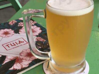 Tuia Gastronomia E Arte